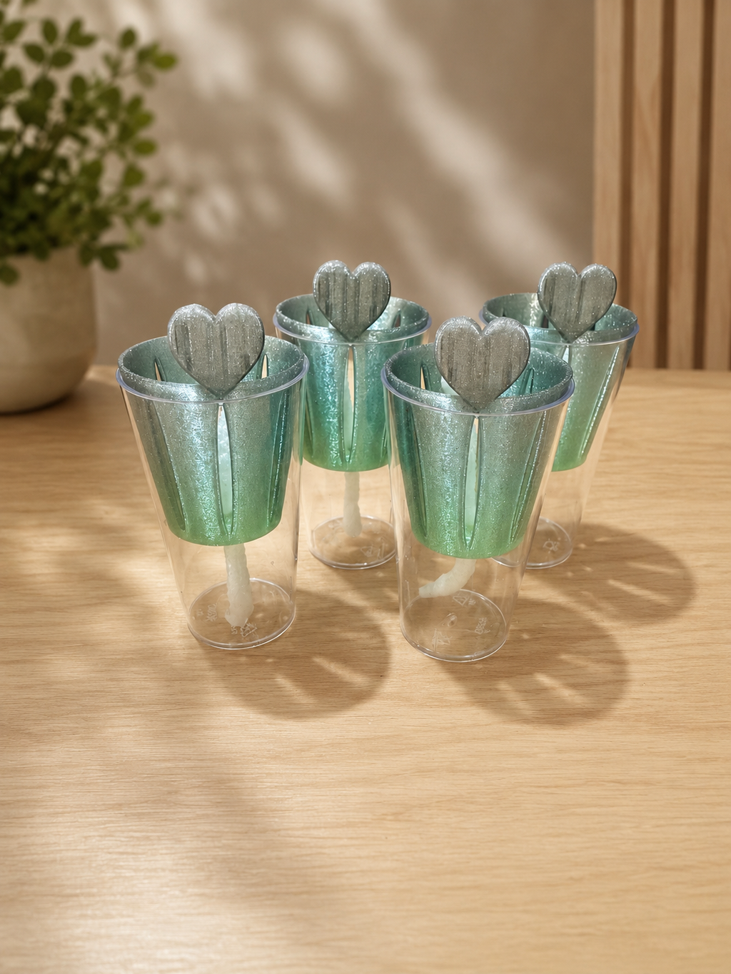 Cormcup – Propagation Cup