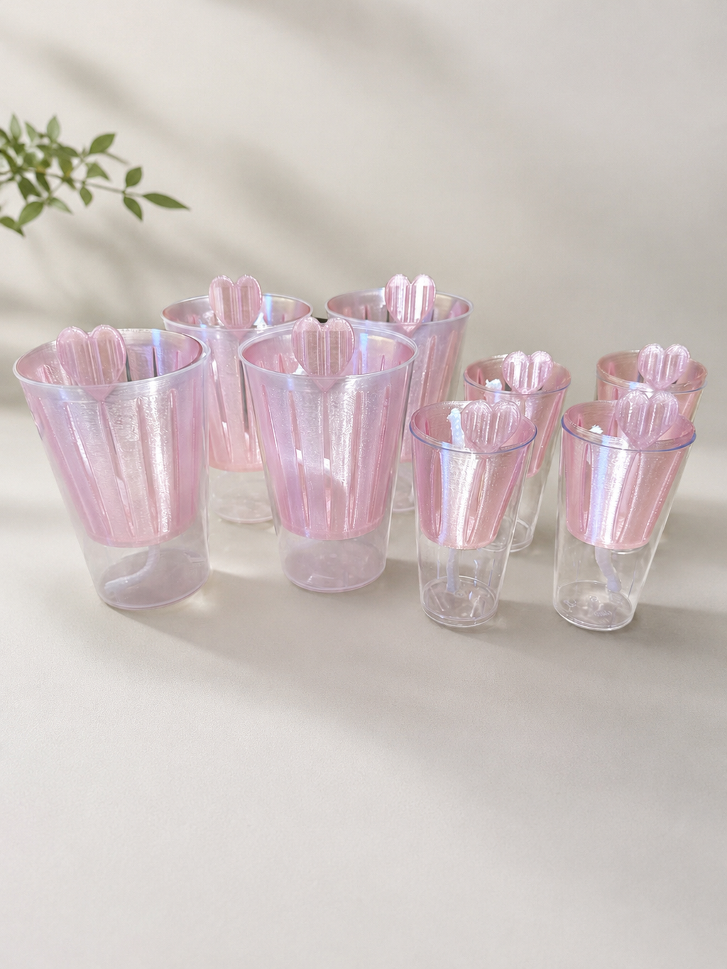 Cormcup – Propagation Cup
