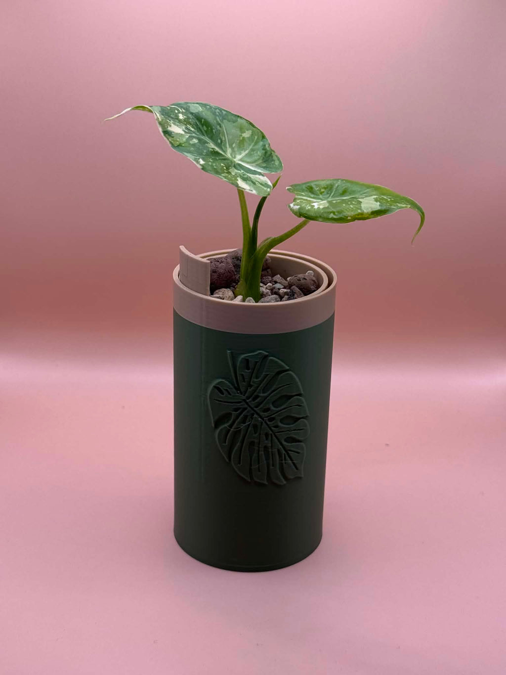 Flowting Pot – Self-Watering Pot