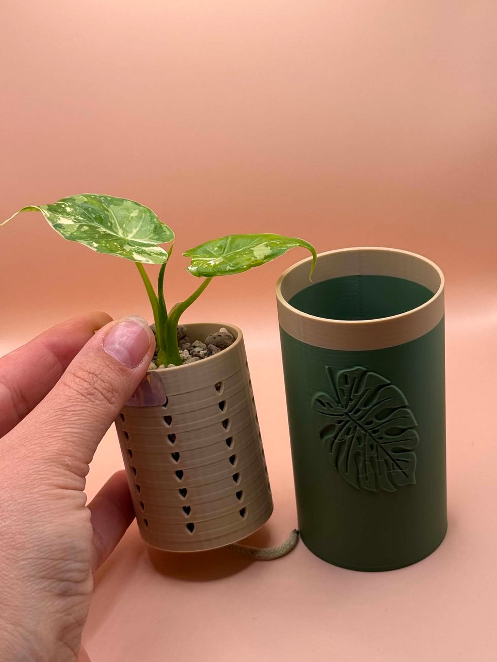 Flowting Pot – Self-Watering Pot