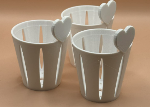 Cormcup – Propagation Cup