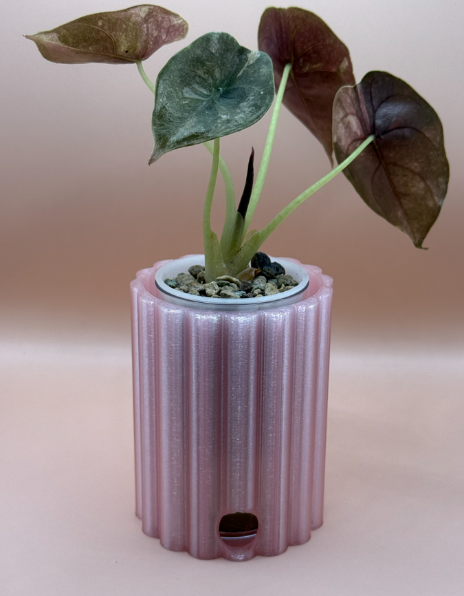 Bubbelgum pot